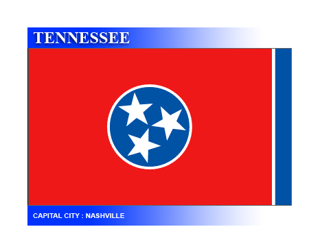 TN Senate 32 election